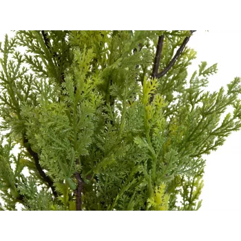 EUROPALMS Leyland Cypress Artificial Plant, 60cm 82606959