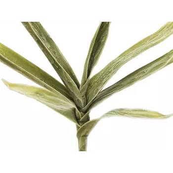 EUROPALMS Artificial Yucca Branch (EVA), Green 82531063