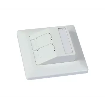 SYNERGY21 Keystone Module Carrier Flush-Mounted for 2xTP Module Pure White Round S216330V3