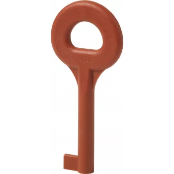 Siemens Spare Key DMZ1195 for 3SE5 Safety Switches (BPZ:4851910001)