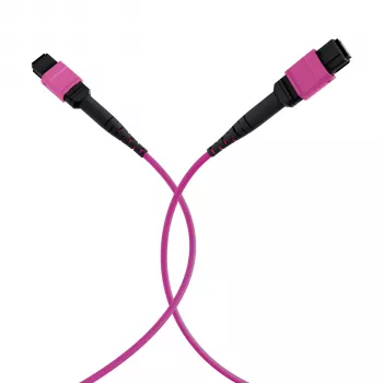 EFB Elektronik MPO-PLUS(F)-MPO-PLUS(F) OM4 12-Fibre Type B LSZH Patch Cable, Erika Violet, 20 m MPOF12MPOFOM4-20