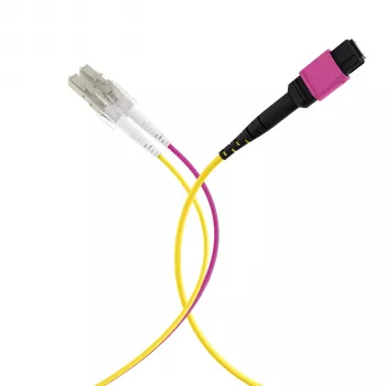 MPO-PLUS (F) to LC Trunk Cable OM4 12 Fibres Type B LSZH Erika Violet 10m MPOF12LCOM4-10