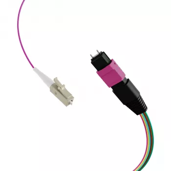 EFB Elektronik MPO-PLUS (M)-LC Fanout Cable OM4 12 Fibres Type B LSZH Heather Violet 1m MPOM12LCOM4-1