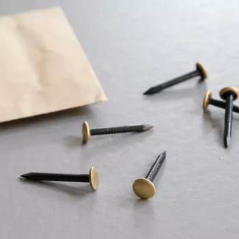 TOX Home Classic Picture Nails 20 Pieces Brass-Plated Steel 25mm 063600101