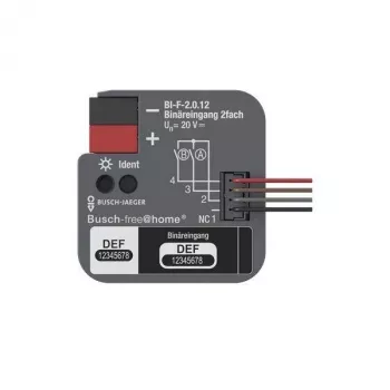 BUSCH-JAEGER KNX Binary Input 2-Gang Flush-Mounted BI-F-2.0.12 (2CDG510023R0021)