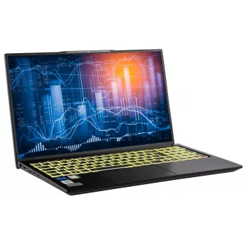 Captiva Business/Office I10-1436GE 17.3 inch Notebook, Intel Core i5-1335U, 32GB RAM, 2TB SSD, Windows 11 Pro