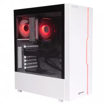Captiva PC Business/Office R10-3791 (Ryzen 5 3400G/SSD 500GB/8GB/WLAN/no OS)