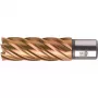 BDS HSSVarioPLUS 24 mm Annular Cutter with Weldon Shank, 55 mm Cutting Depth KBL-VP024