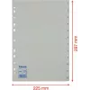 LEITZ Esselte Plastic Index, Numbered 1-12, A4, White, Universal Punched, 10 Sets (100153)
