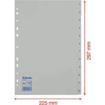 LEITZ Esselte Plastic Index, Numbered 1-12, A4, White, Universal Punched, 10 Sets (100153)
