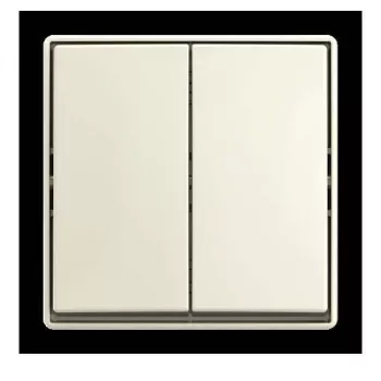BUSCH-JAEGER Rocker Switch, Surface-Mounted, Two-Way Switch, 10 AX, 250 V AC, Alpine White 2TKA00005524