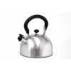 IBILI Stainless Steel Teapot 1.5 L with Infuser Insert, Polished Silver, Induction-Suitable