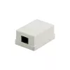 DSIT DS-Wall-Out-UTP5-I Surface Mount Cat5e UTP RJ45 Outlet Ivory