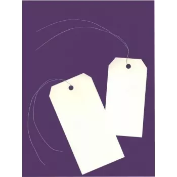 Avery 75-410 luggage tag, 120 x 60 mm, neutral, with beige wire, 160 g/m² card, 1 piece