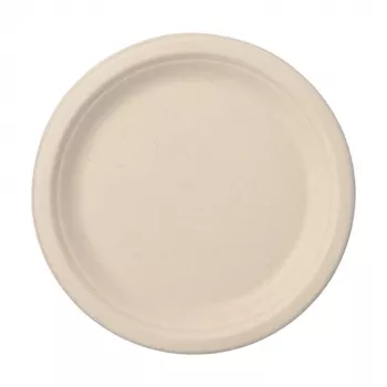 PAPSTAR Pure sugarcane plate, round, 230 mm, 50 pieces, compostable, microwave-safe 89866
