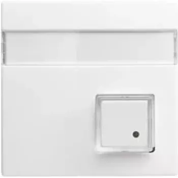 Busch-Jaeger Central Plate Alpine White for UAE/TAE Inserts 1582-0-0397