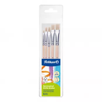 Pelikan Starter Brush Set, 5 Bristle Brushes with Wooden Handles, Various Sizes, Transparent Storage Box 300008263