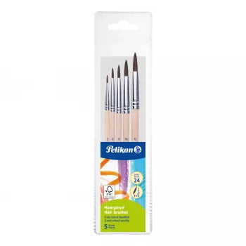 Pelikan Starter Brush Set, 5-Piece Set with Natural Hair Brushes and Wooden Handles, in Clear Case 300008264