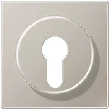 JUNG ES 2928 Cover for Key Switch with Tamper Protection, LS Series, Stainless Steel