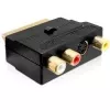 Wentronic Goobay SCART Adapter, SCART Plug to 3 RCA Socket + 4-Pin Mini-DIN Socket, Black 50499
