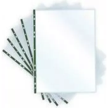 PAVO 8020614 A4 Document Sleeve Crystal Clear with Green Reinforced Edge, Open at Top, Universal Punched, 0.06 mm PP, 1 Piece