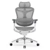 Sihoo DORO C300 Pro Ergonomic Mesh Office Chair White