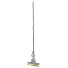 SAUBER PVA Push Brush with Telescopic Handle 24801022