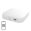 MOES BHUB-W WiFi/Bluetooth Mesh Gateway