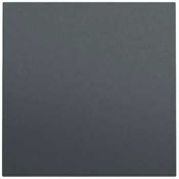 GIRA 329673 Rocker System 70 Anthracite Lacquered