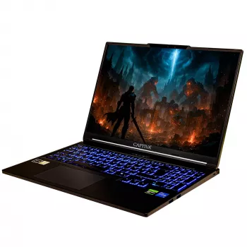 Captiva Entry Gaming I10-0956GE Laptop, 16 inch, Intel Core i7-14650HX, GeForce RTX 5060 8GB, 64GB RAM, 4TB SSD, Windows 11 Pro, without PSU