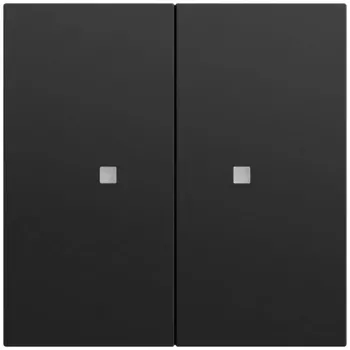 GIRA 517374 Rocker Switch 2-gang OneKNX System 70 Black (517374)