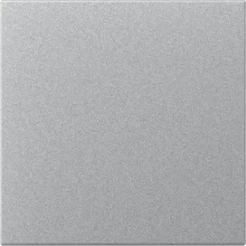 GIRA 349626 straight rocker, System 55, colour aluminium