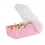 HAN CROCO Learning Card Index, A7 Landscape, Pastel Pink Translucent, Translucent Clear Lid, Polypropylene (997-886)