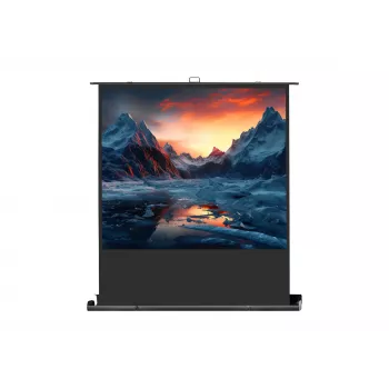 celexon Professional Mobile Plus projection screen, 63 inch (161 cm)