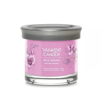 Yankee Tumbler Candle with 1 Wick, Wild Orchid