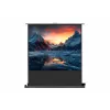 celexon Professional Mobile Plus Projection Screen, 51 inch (131 cm)