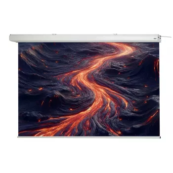 celexon Expert Motorised Projection Screen, 130 inch (330 cm), 230 V