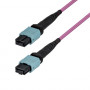 StarTech.com OM4MTP12BOFNP2M MTP/MPO-12 Multimode Fibre Optic Patch Cable (2 m)